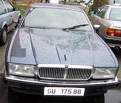 jaguar1.jpg (13856 Byte)