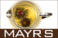 log_mayrs.gif (16793 Byte)